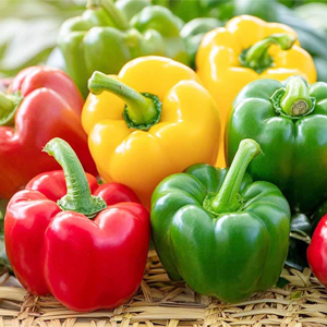 Capsicum