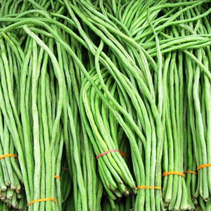 Long Bean