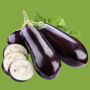 Brinjal