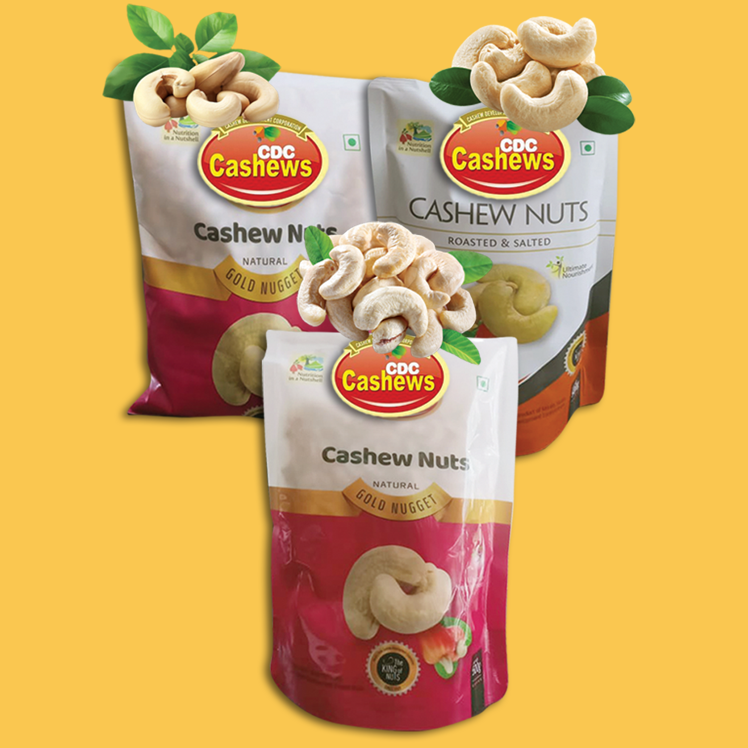 Cashew