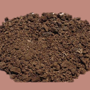 CowDung