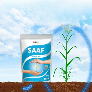 SAAF