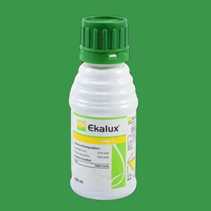 Ekalux