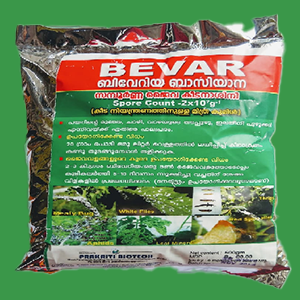 Bevar