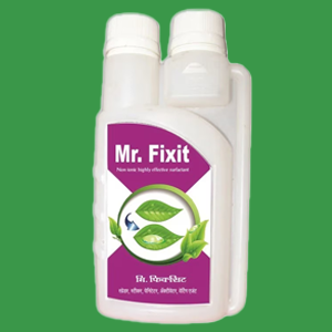 Mr.Fixit
